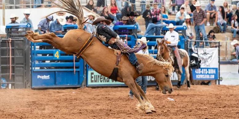 Cowboy competing in bareback riding