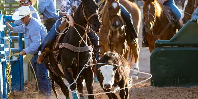 Rider competing in break away roping