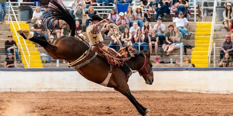 Cowboy competing in saddle bronc riding