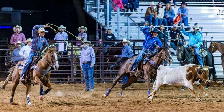 Two riders competing in team roping