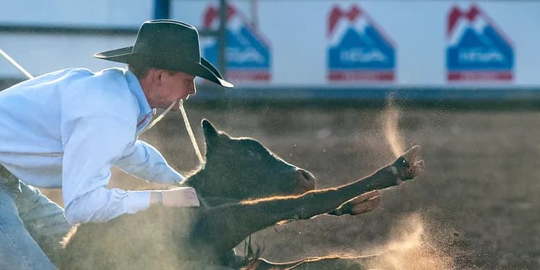 On-Camera Arena Banner Sponsor sponsor opportunity graphic