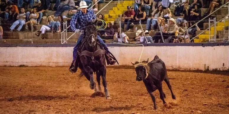 Presenting Sponsor sponsor opportunity graphic